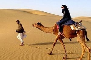 camel desert safari Jaisalmer
