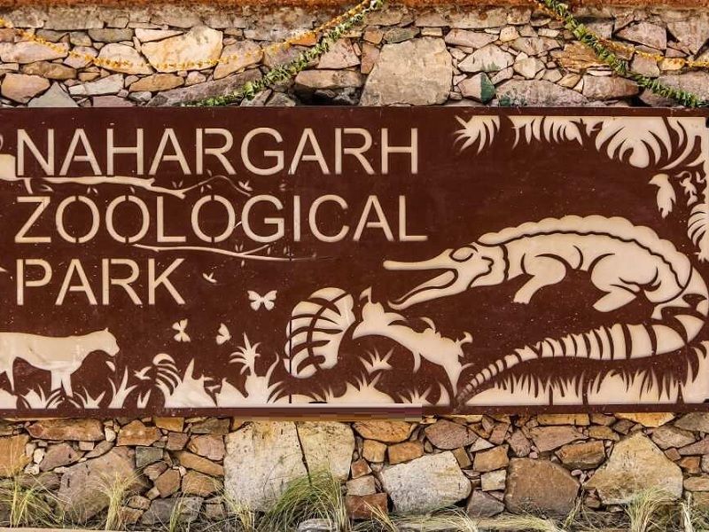 nahargarh biological park jaipur rj