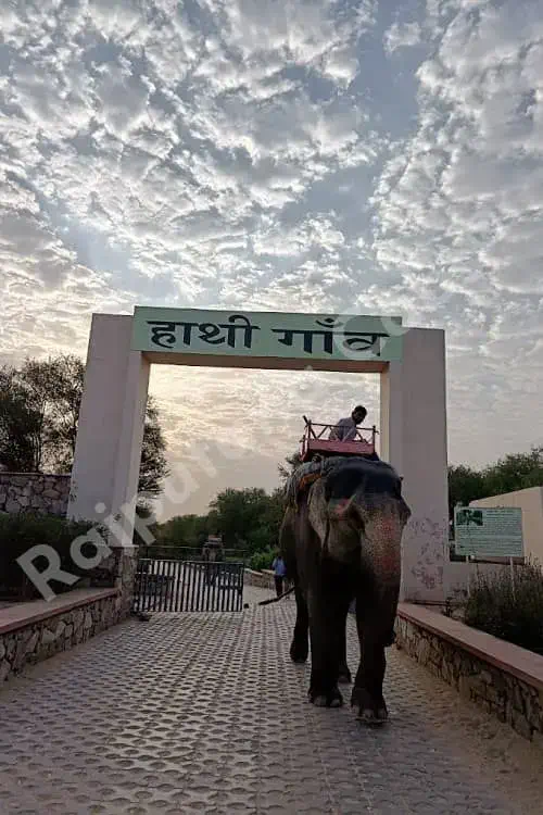 elephant village